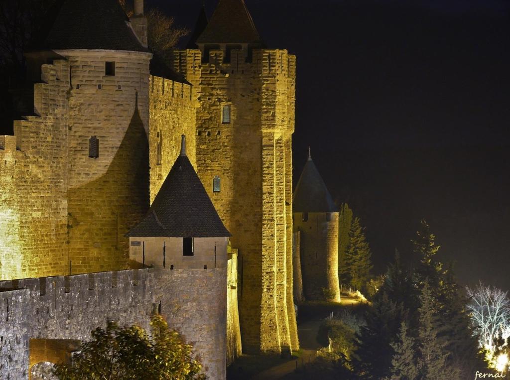 L'Oree De La Cite Каркассонн Екстер'єр фото
